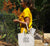 Female wearing a yellow short sleeve t-shirt using a Natural Calico Shopping Bag.  Graphic in black.  Think Flexibly repeated in 4 lines written in all directions..